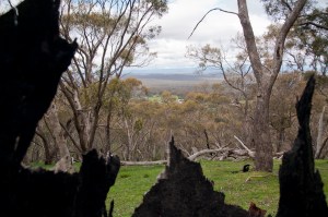 Maldon area; fire, ecology, people - can they all co-exist?