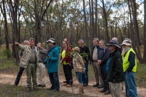 talking-fire_marionw-_low-res-4623