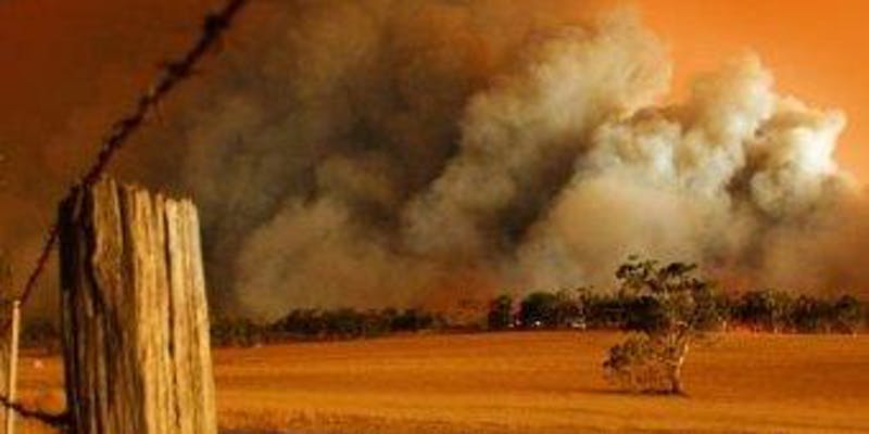 Hear Stephen Pyne talk on fire&nbsp;policy